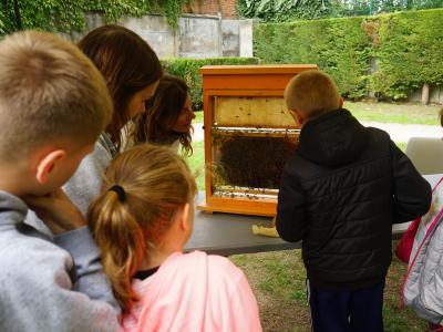 Jardins en fête : les enfants découvrent l'apiculture au Parc Malraux | © Ville de La Madeleine